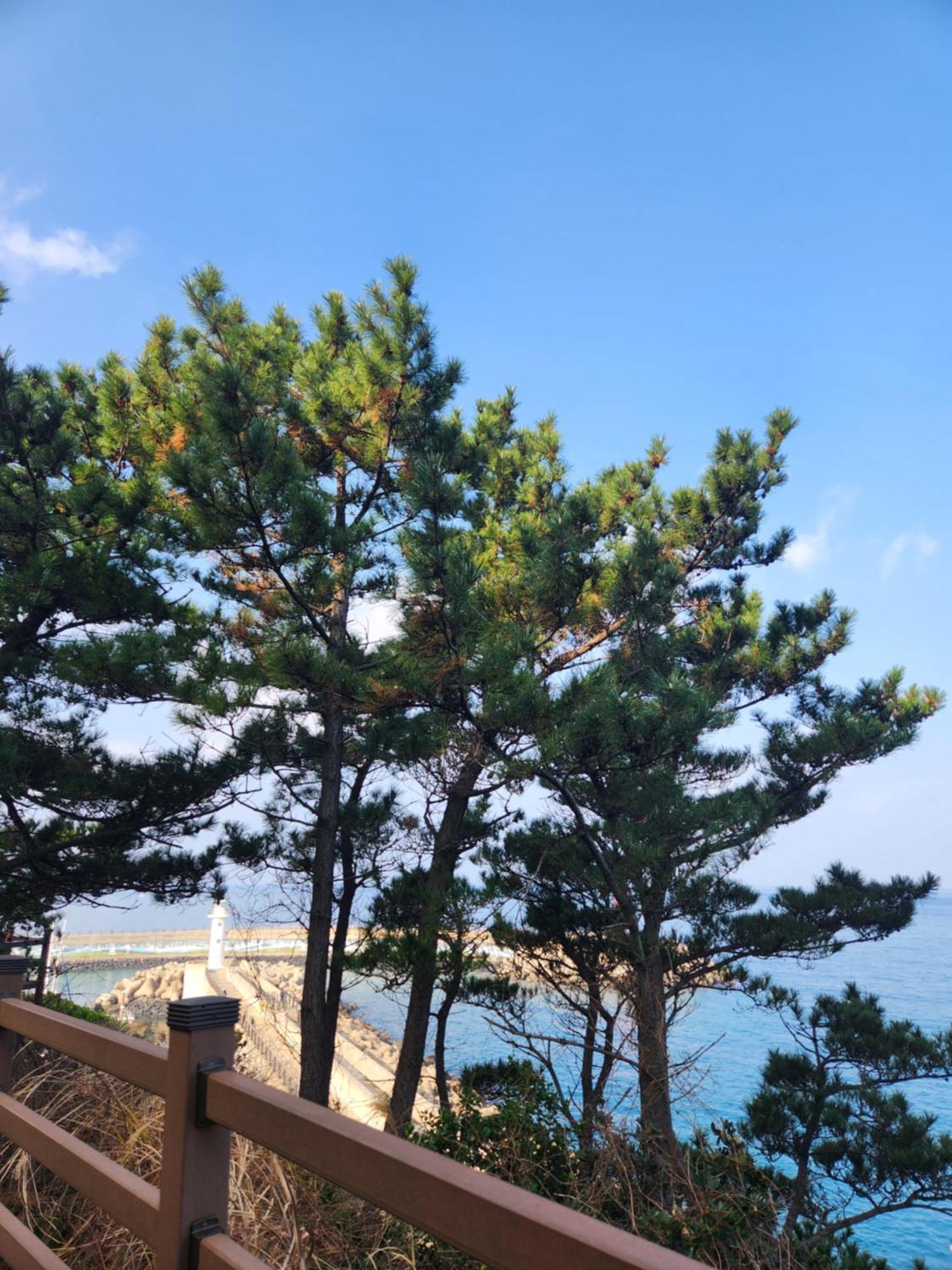 Bada Village Minbak Jeju Dış mekan fotoğraf